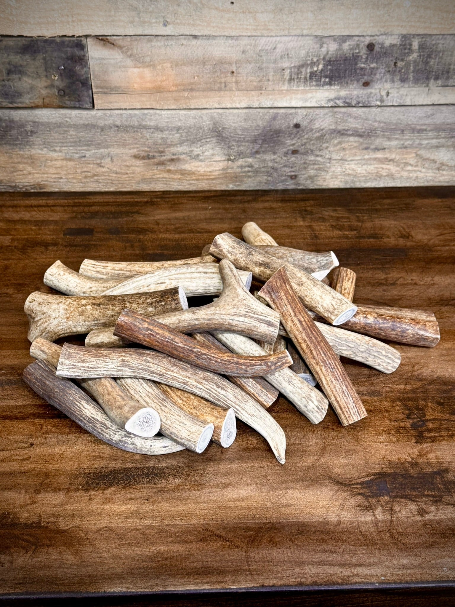 Dog Chews