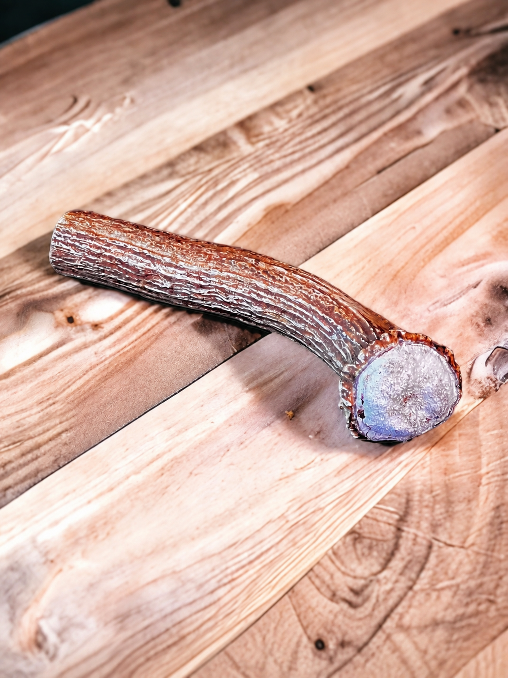 Deer Antler Knife Handle Blank With Burr & Crown - Axis Antler - Choose Size & Color