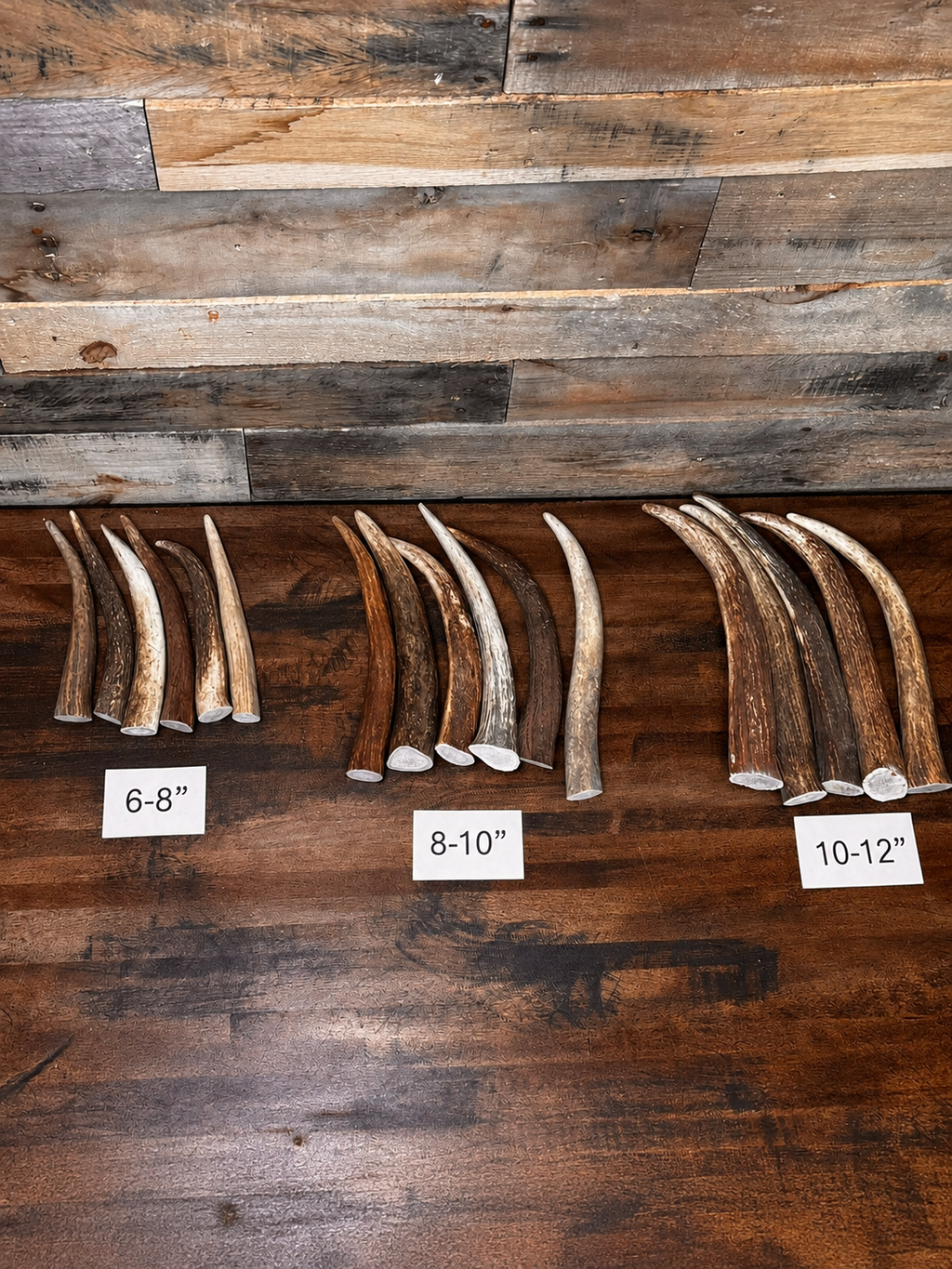 Bundle Of Elk Antler Tips/Points/Tines - Pack of 5 or 10 - Choose size