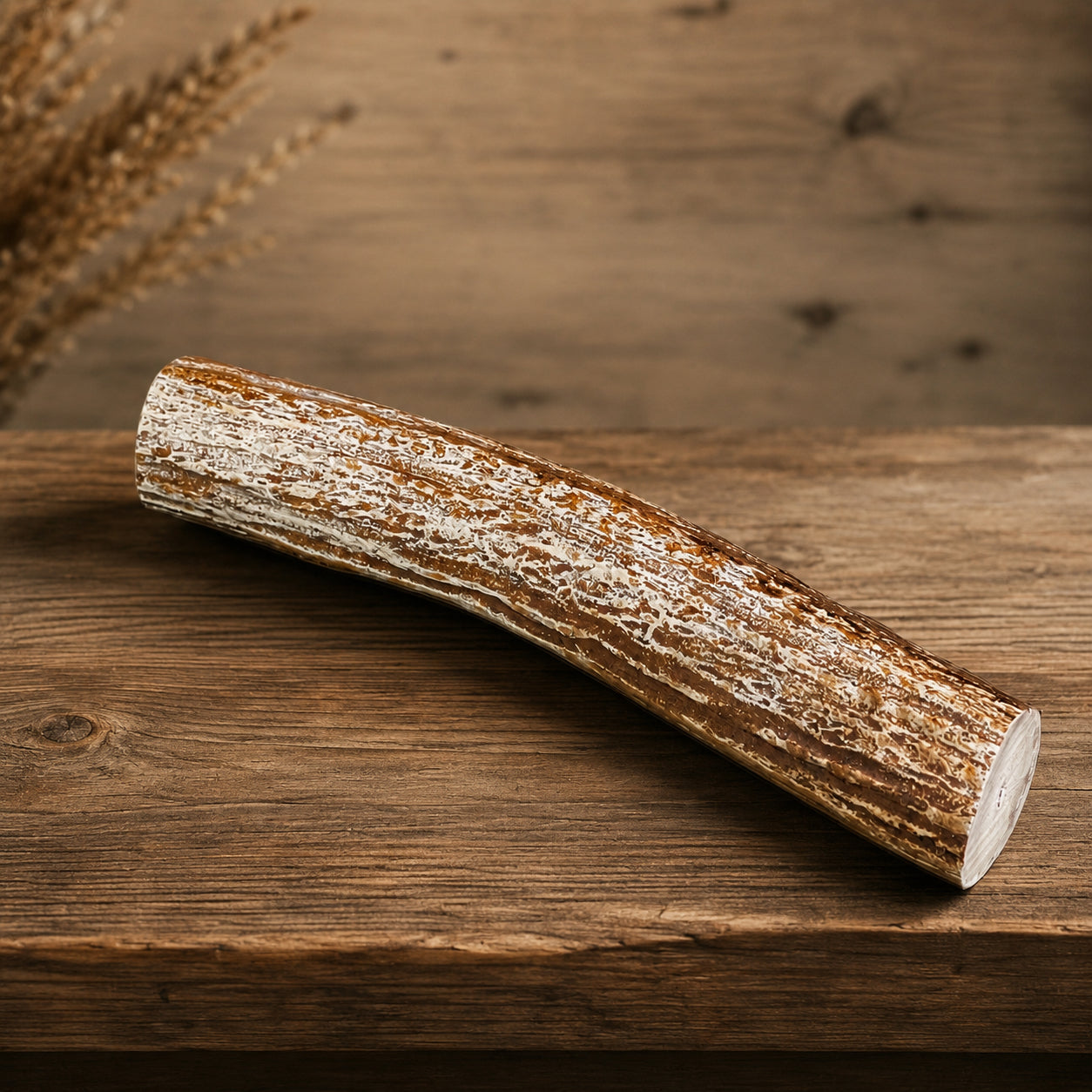 Deer Antler Knife Handle or Pen-Turning Blank, No Burr (Slab) - Choose Size and Color