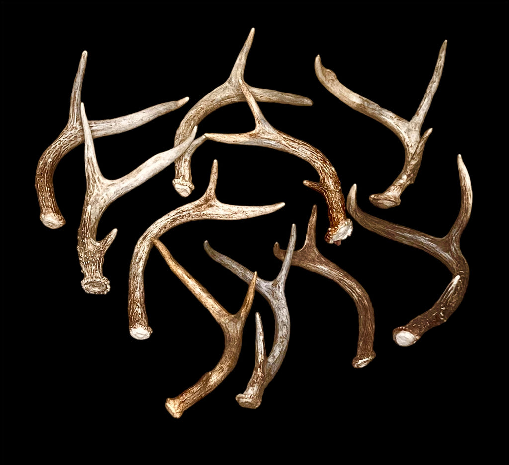 Extra-Small Fork-Horn 2/3 Point Whitetail Antler Sheds - Wreath and Tree Decor