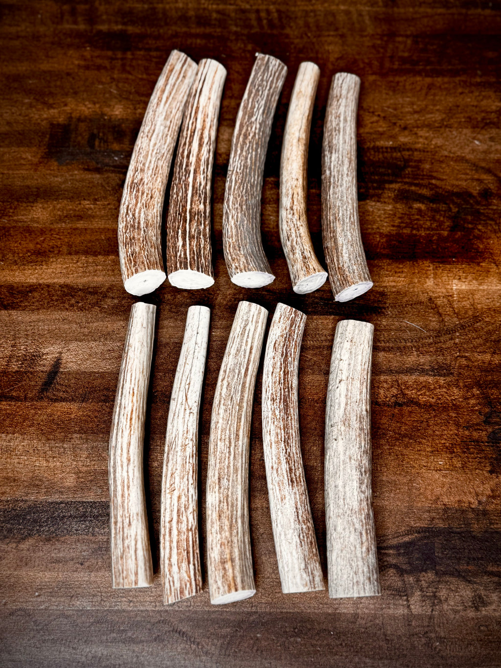 Small Tapered Axis Antler Sections - Great For Knife Handles, Dog Chews, & Carving