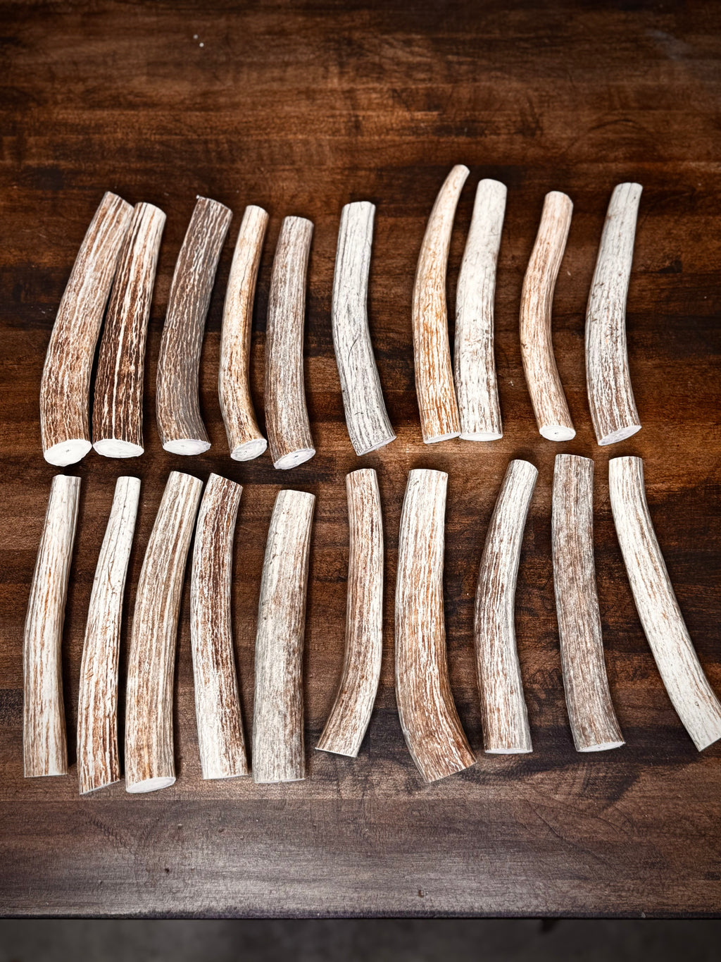 Small Tapered Axis Antler Sections - Great For Knife Handles, Dog Chews, & Carving