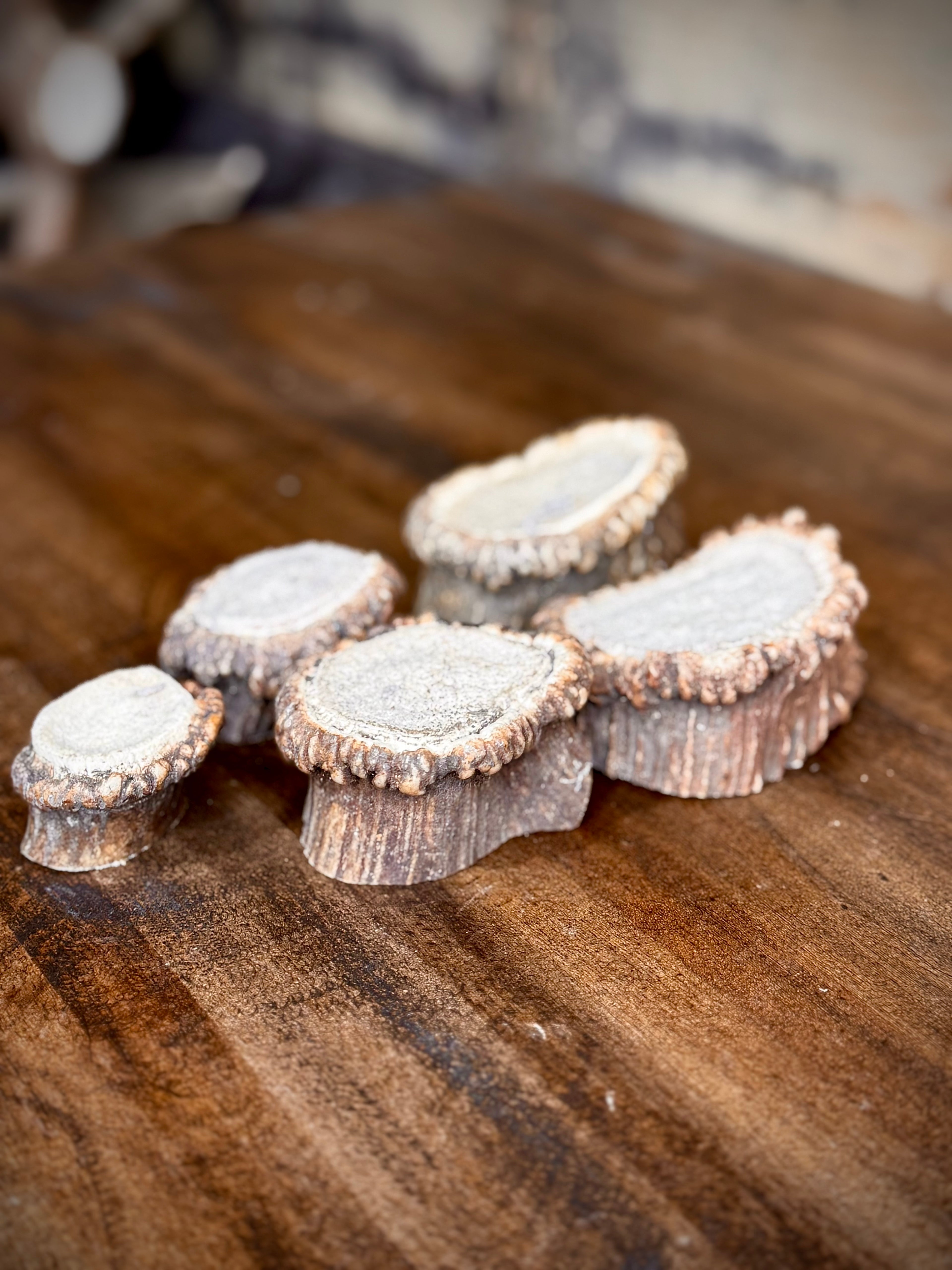 Elk Antler Burr/Crown/Rosette - Choose Size and Quantity