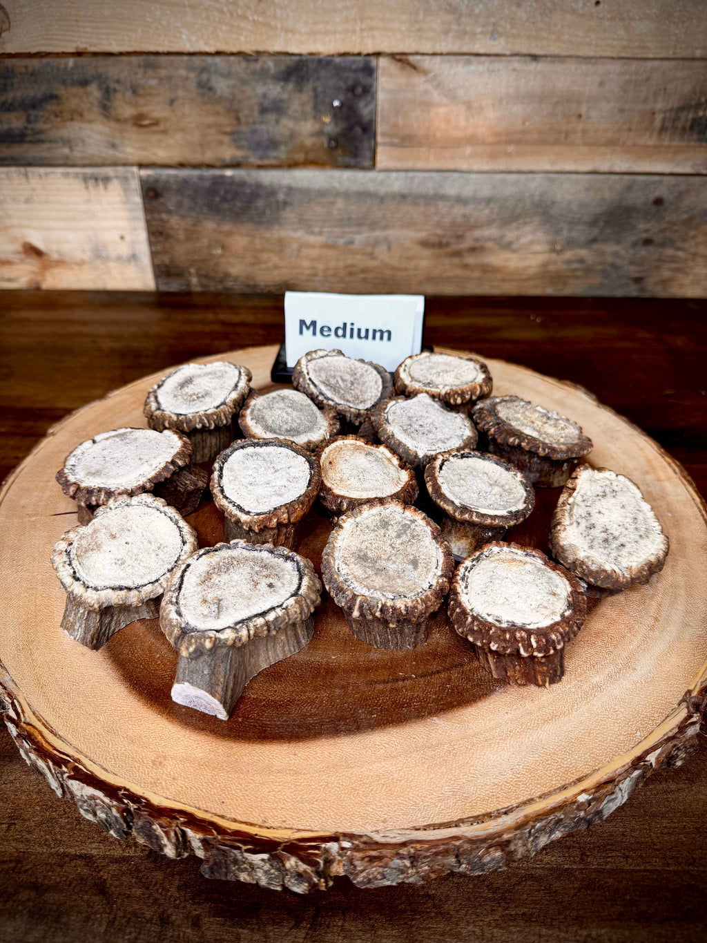 Elk Antler Burr/Crown/Rosette - Choose Size and Quantity