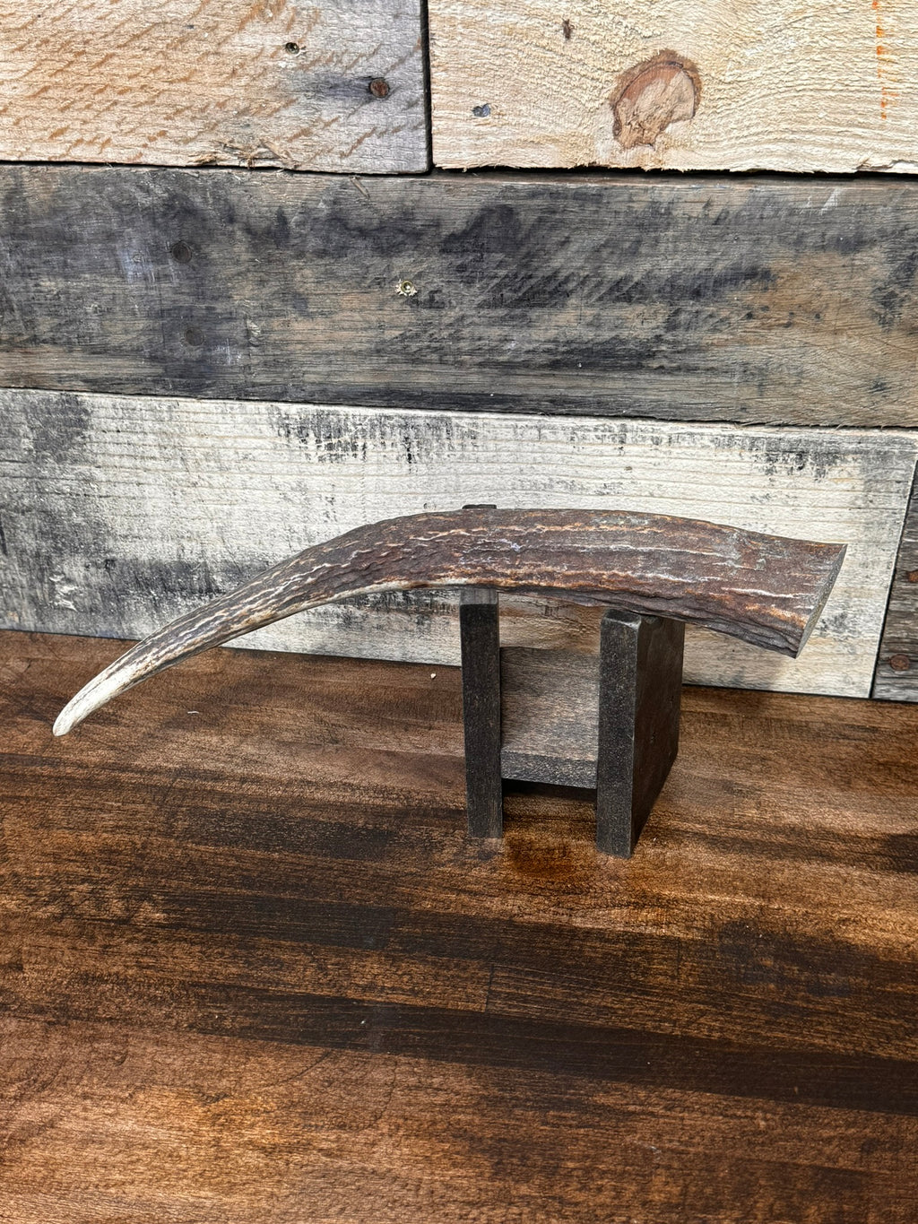 One Elk Antler Tip/Point/Tines- Choose Length, Premium Quality