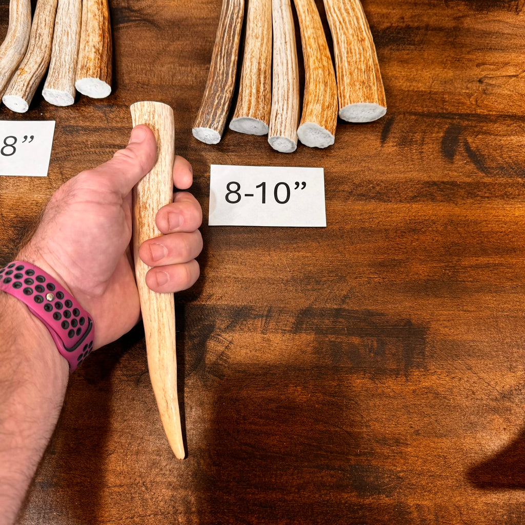 1, 5, or 10-Pack of Deer Antler Tips/Points/Tines - Choose Length