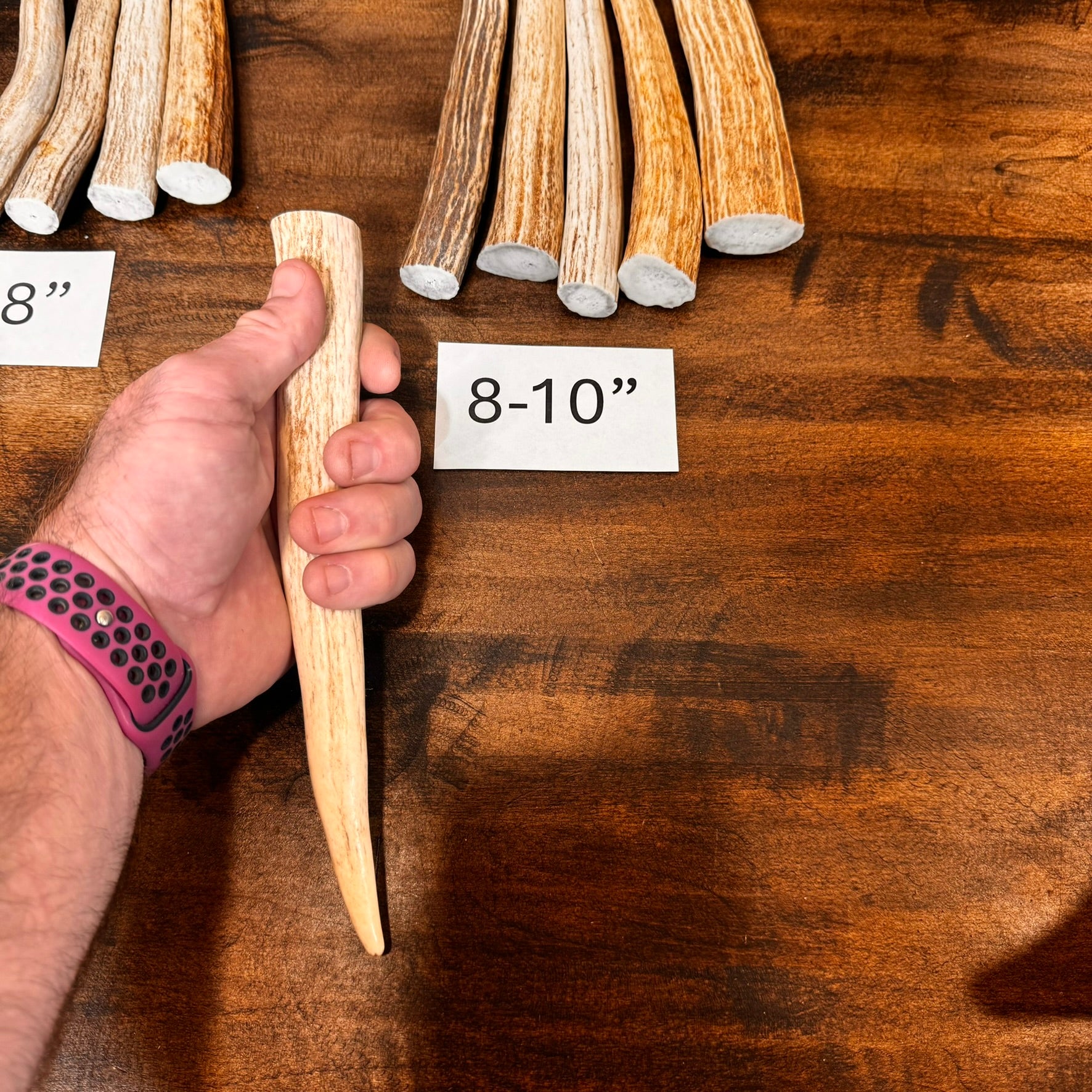 1, 5, or 10-Pack of Deer Antler Tips/Points/Tines - Choose Length
