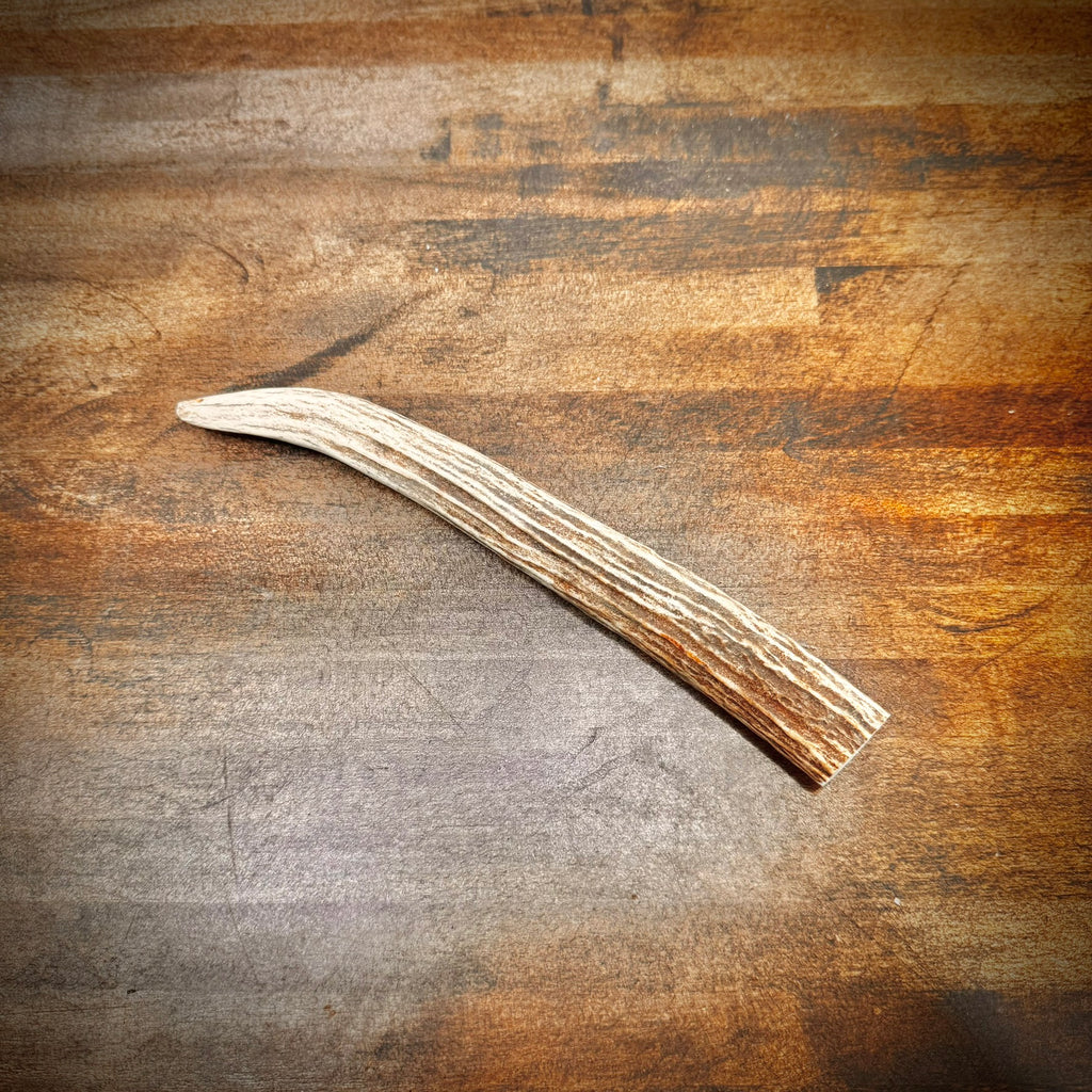 1, 5, or 10-Pack of Deer Antler Tips/Points/Tines - Choose Length