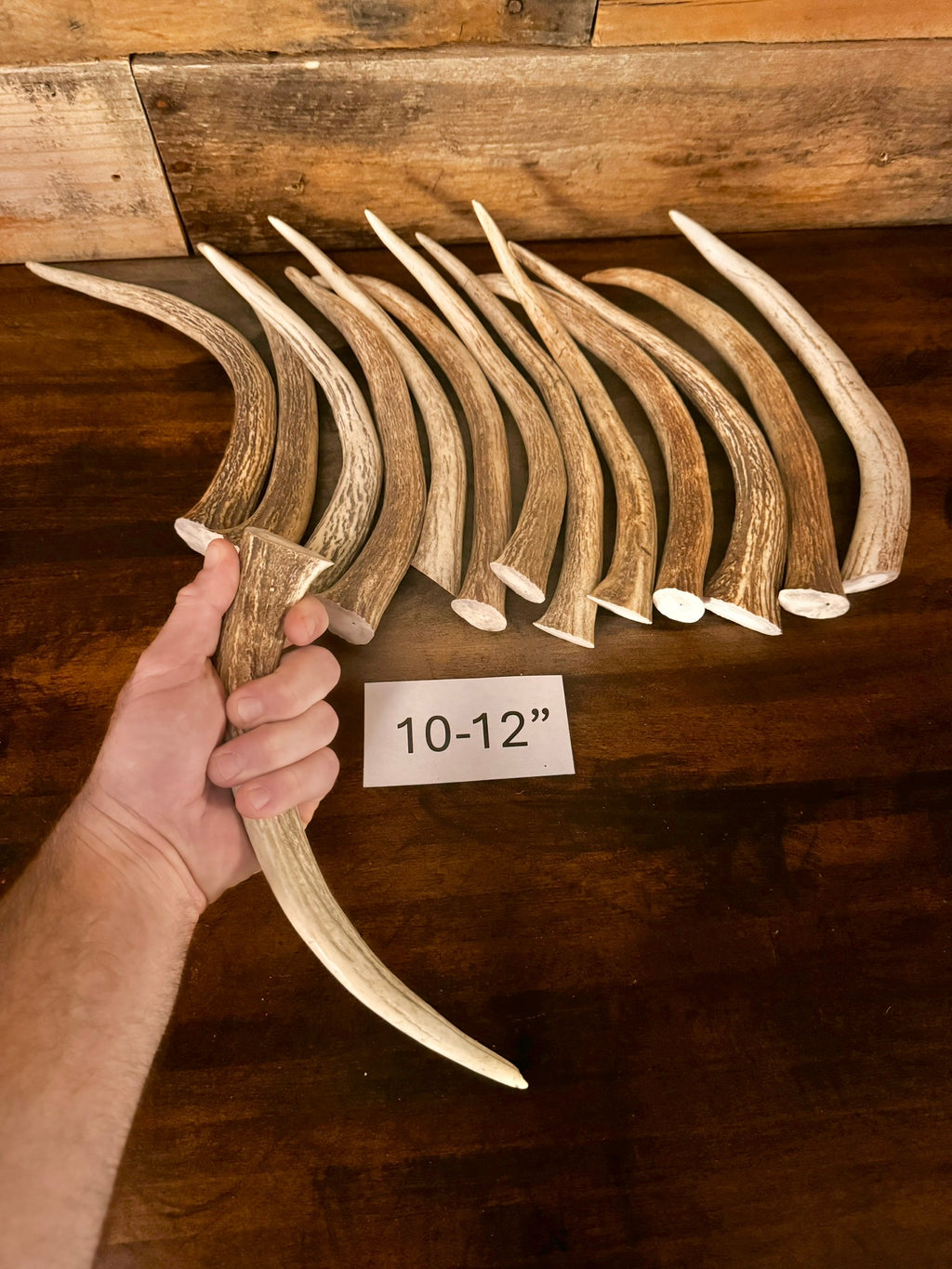 1, 5, or 10-Pack of Deer Antler Tips/Points/Tines - Choose Length