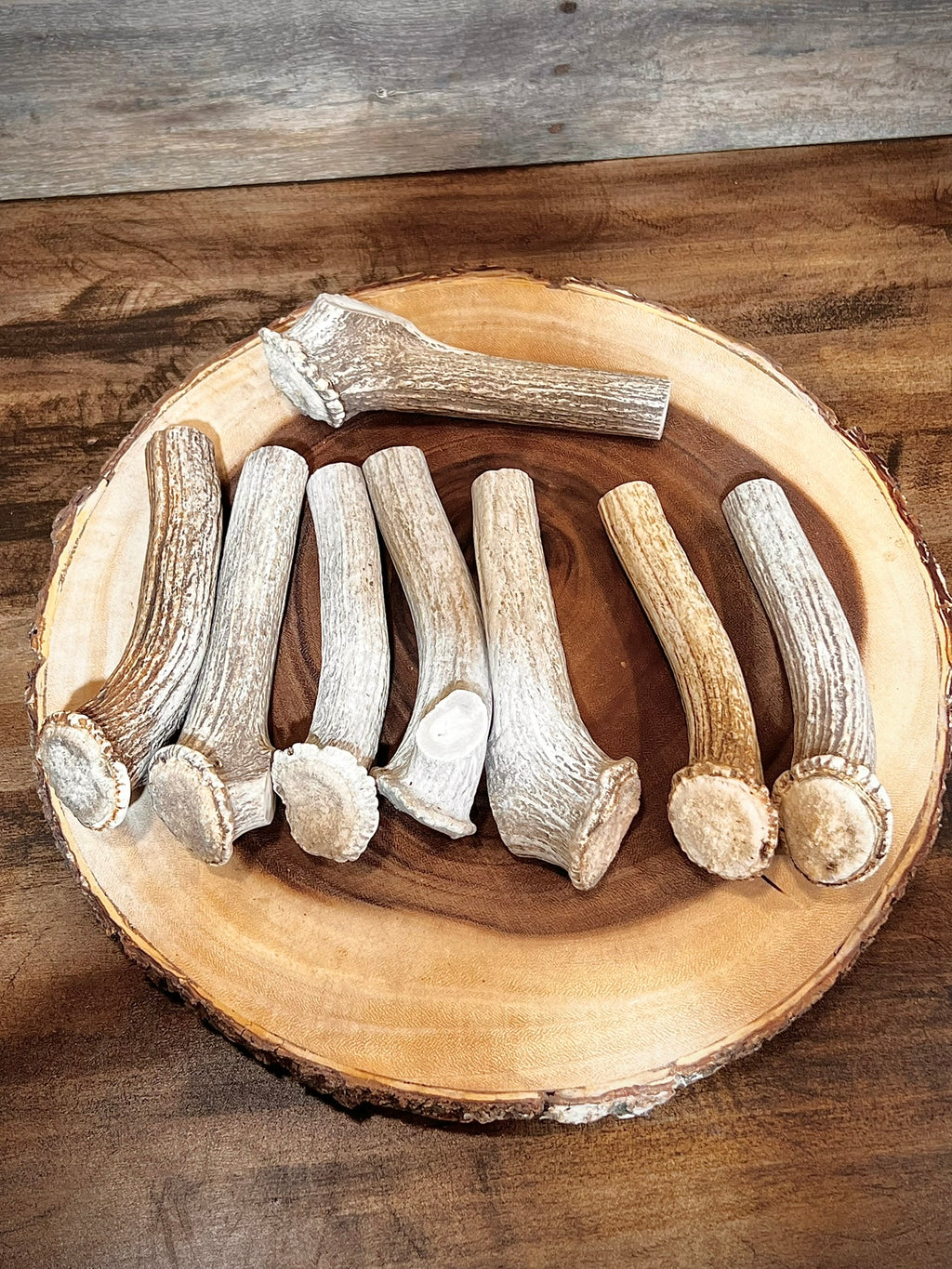 Deer Antler Knife Handle Blank With Burr & Crown - Axis Antler - Choose Size & Color