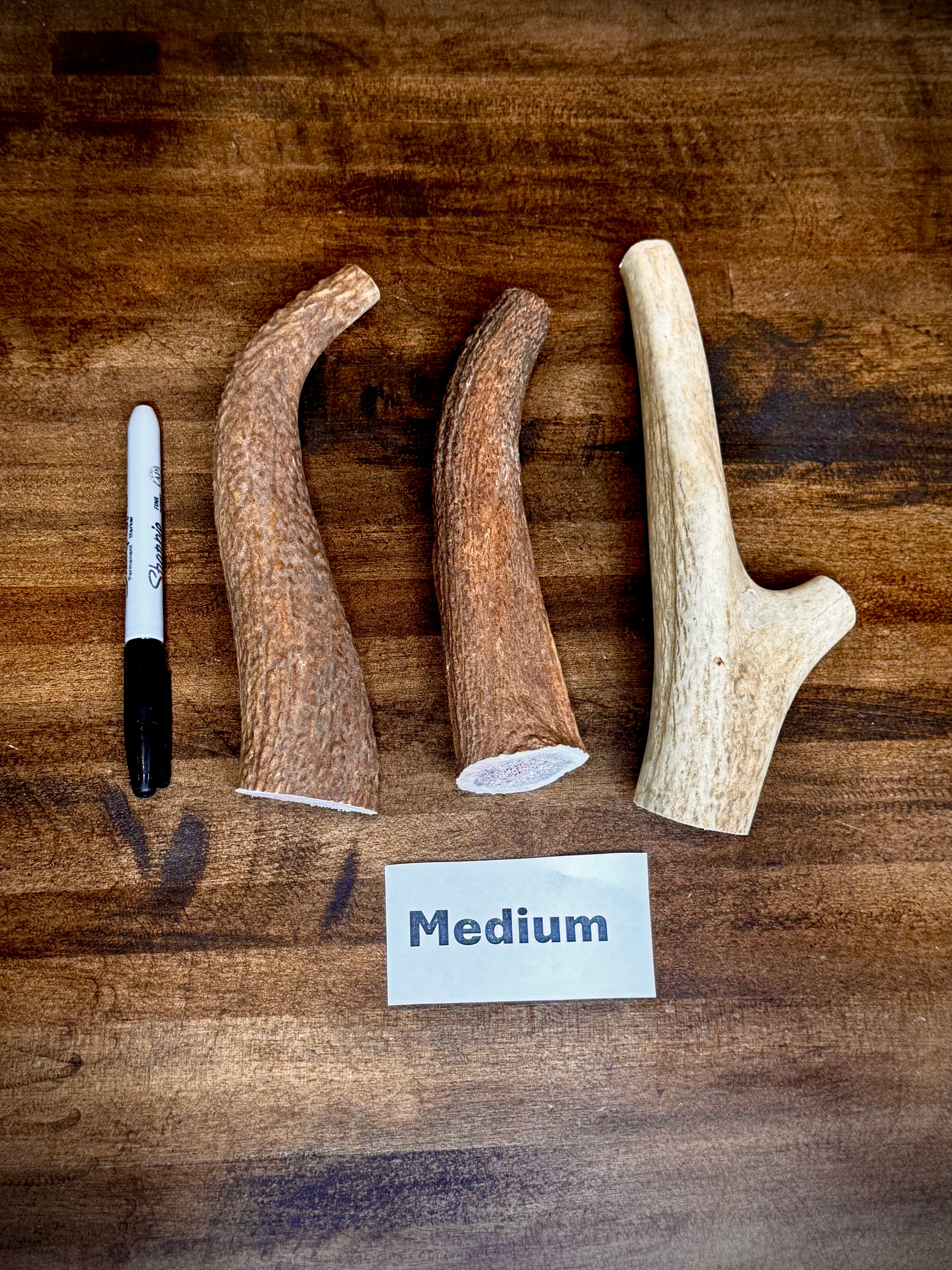 Elk Antler Dog Chew Treats - 1 Pound Groups, Free Shipping