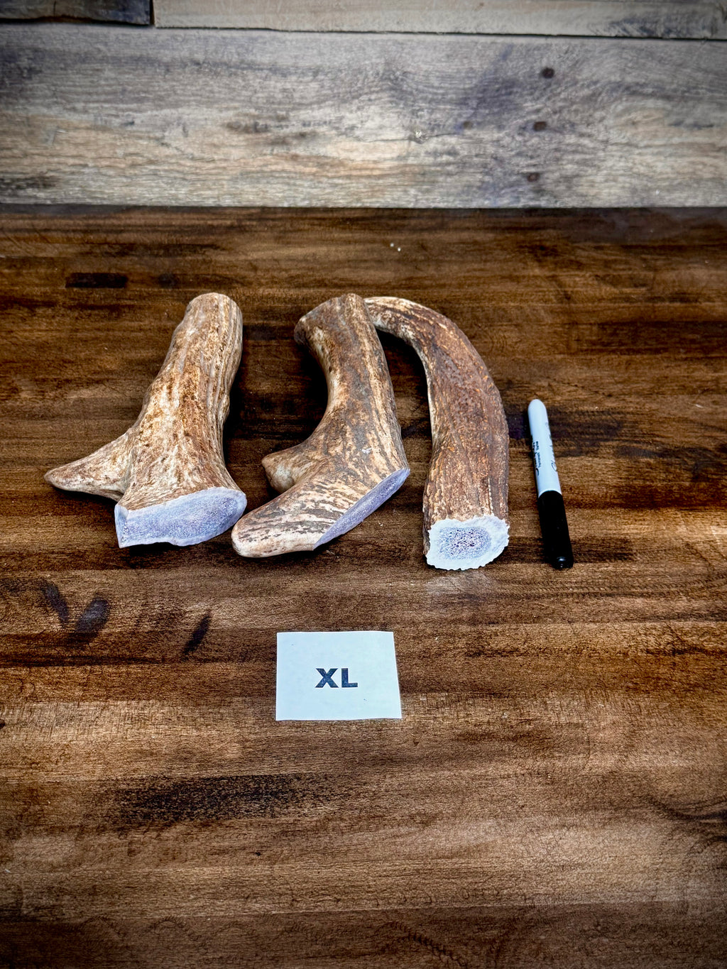 Elk Antler Dog Chew Treats - 1 Pound Groups, Free Shipping