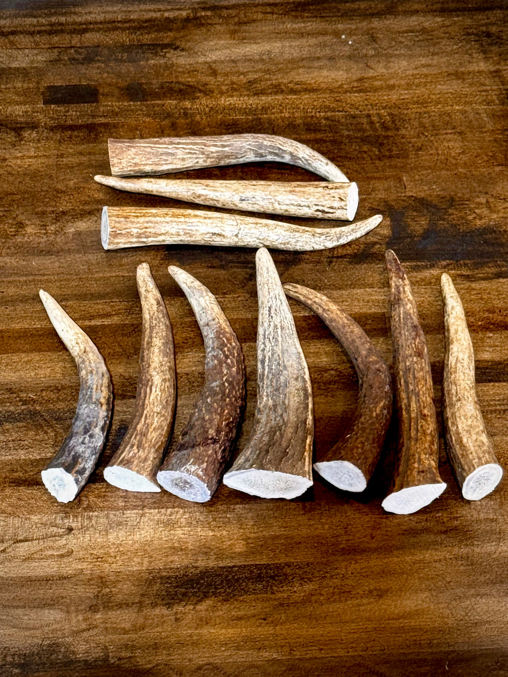 Bundle Of Elk Antler Tips/Points/Tines - Pack of 5 or 10 - Choose size