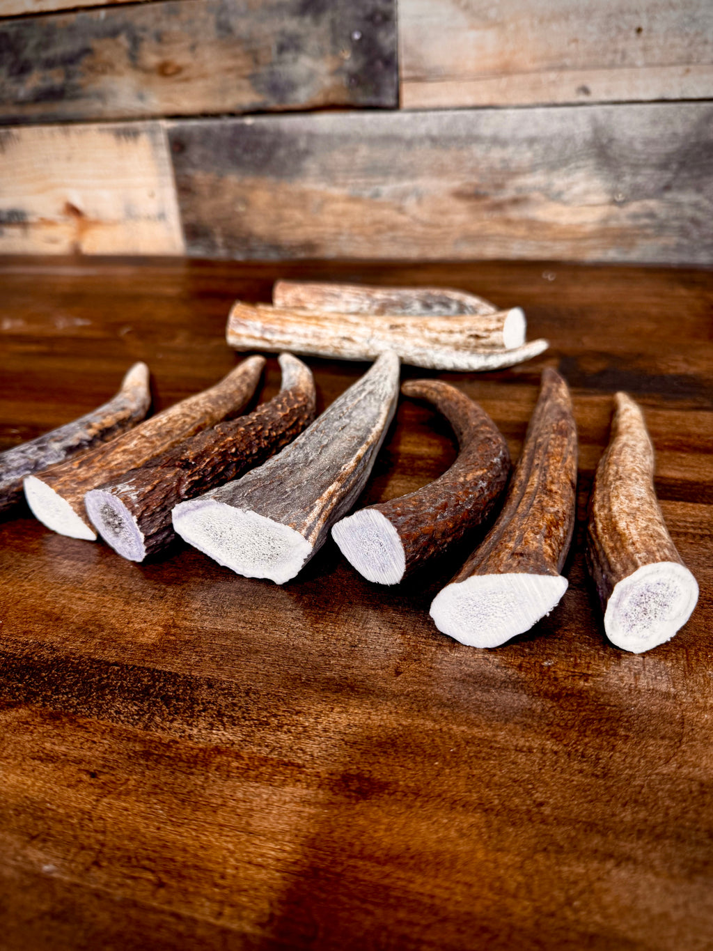 Bundle Of Elk Antler Tips/Points/Tines - Pack of 5 or 10 - Choose size