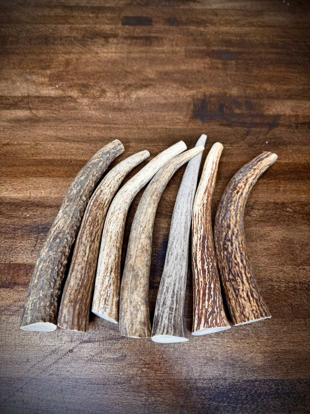 5 Pack Extra Small Antler Chews 6-7" Long