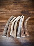 5 Pack Extra Small Antler Chews 6-7" Long