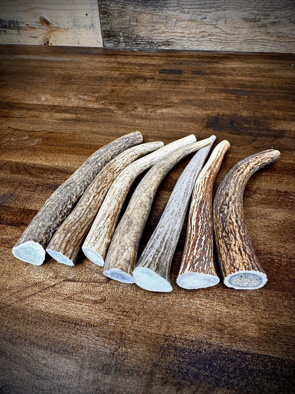 5 Pack Extra Small Antler Chews 6-7" Long