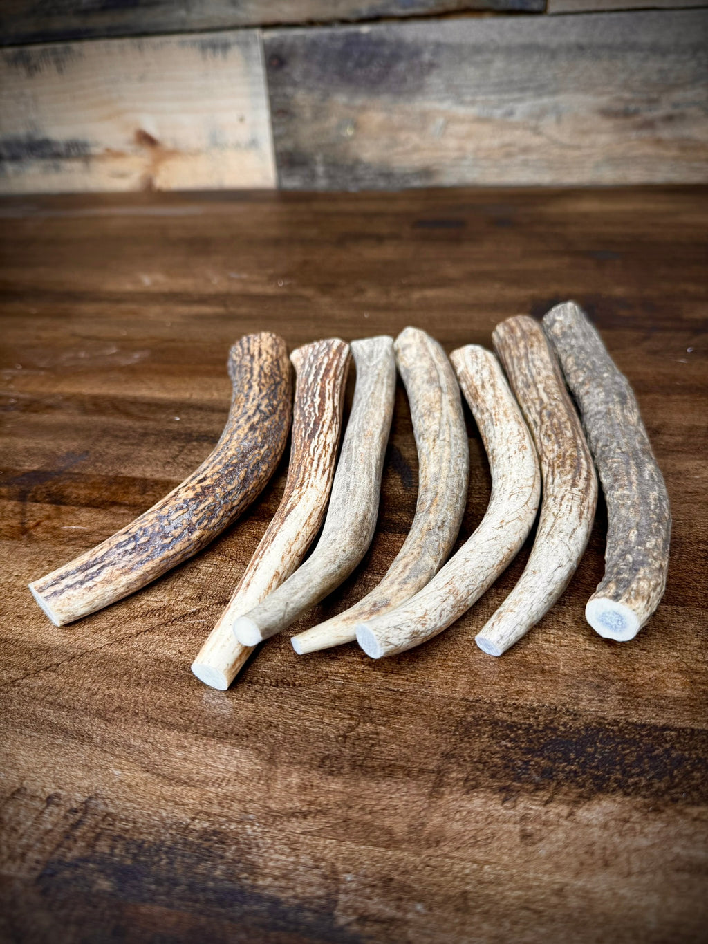 5 Pack Extra Small Antler Chews 6-7" Long