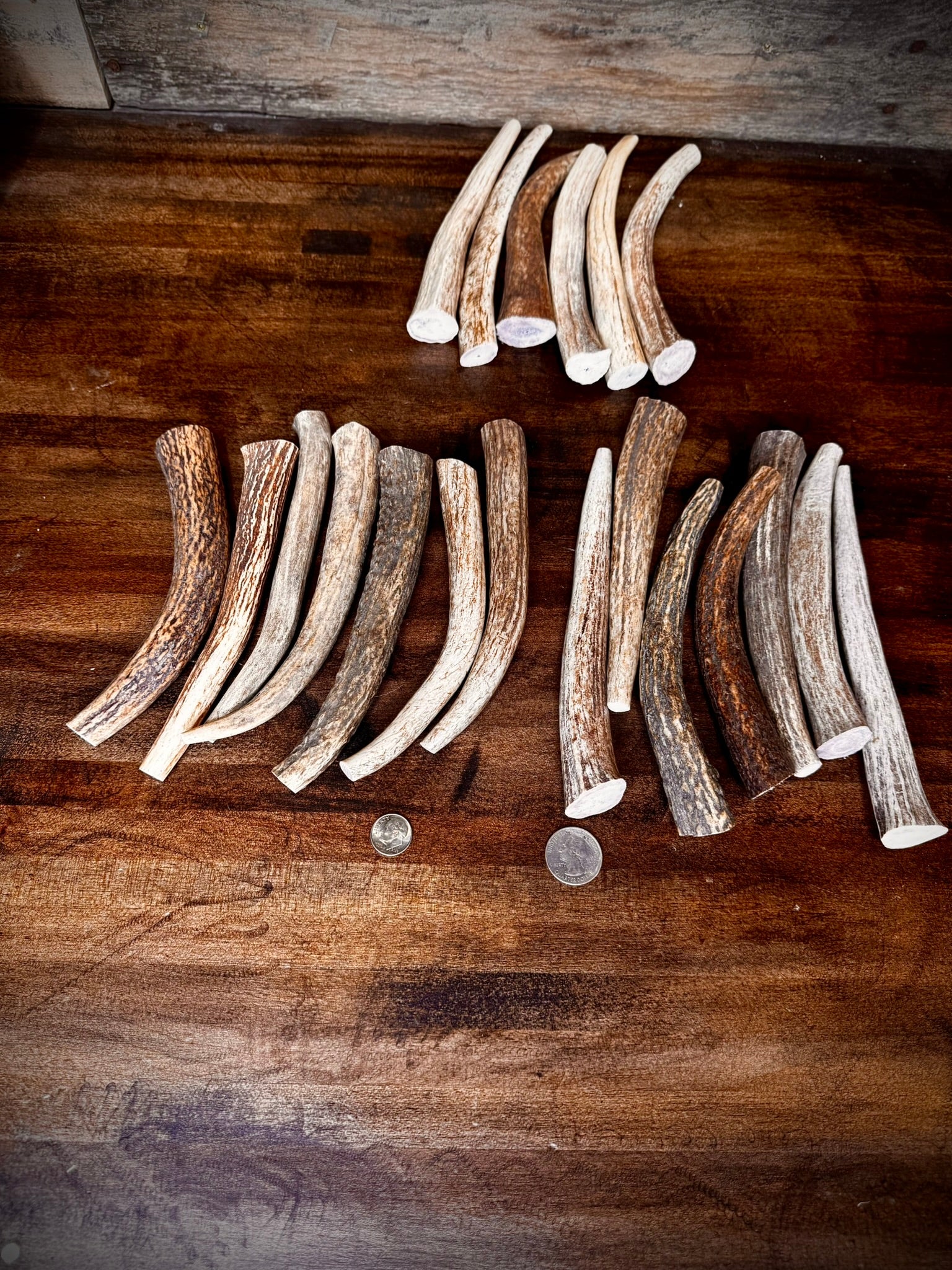 5 Pack Extra Small Antler Chews 6-7" Long