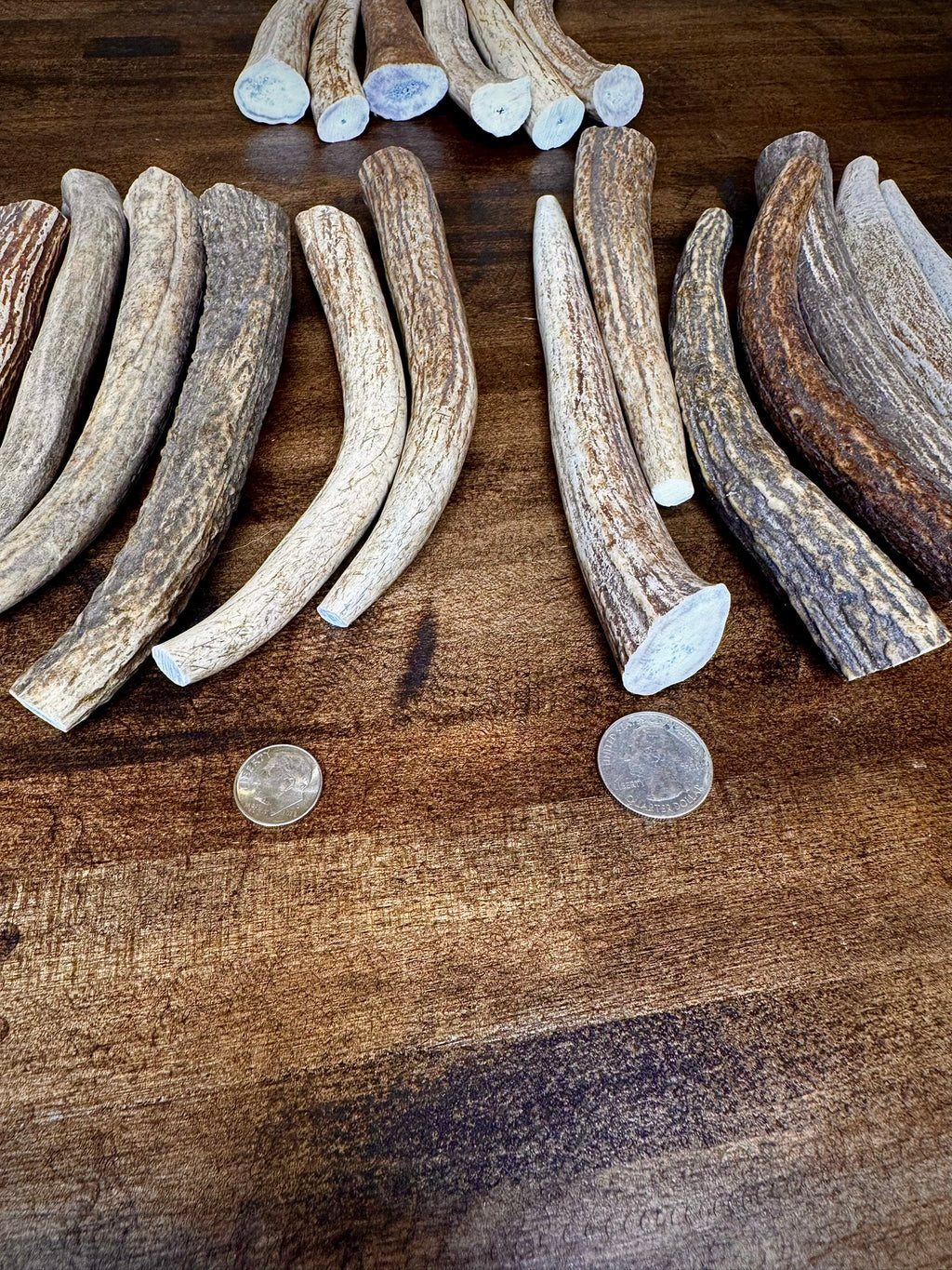5 Pack Extra Small Antler Chews 6-7" Long