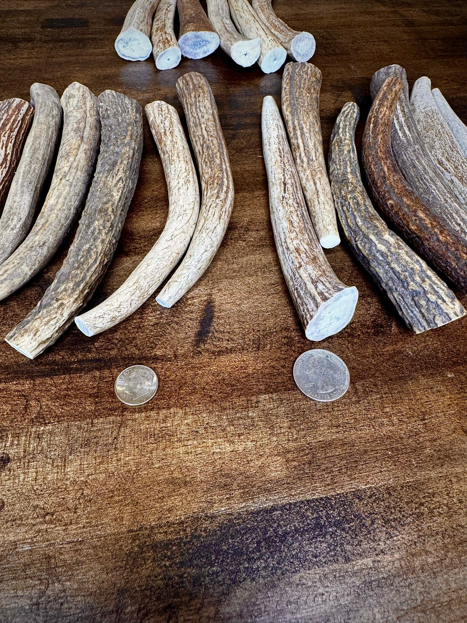 5 Pack Extra Small Antler Chews 6-7" Long