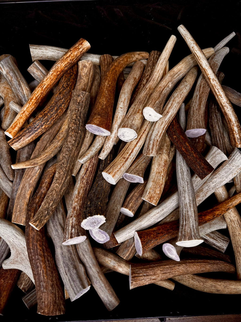 5 Pack Extra Small Antler Chews 6-7" Long