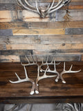 Rattling Antlers Collection 1 (2026) - Size SMALL - Choose Piece