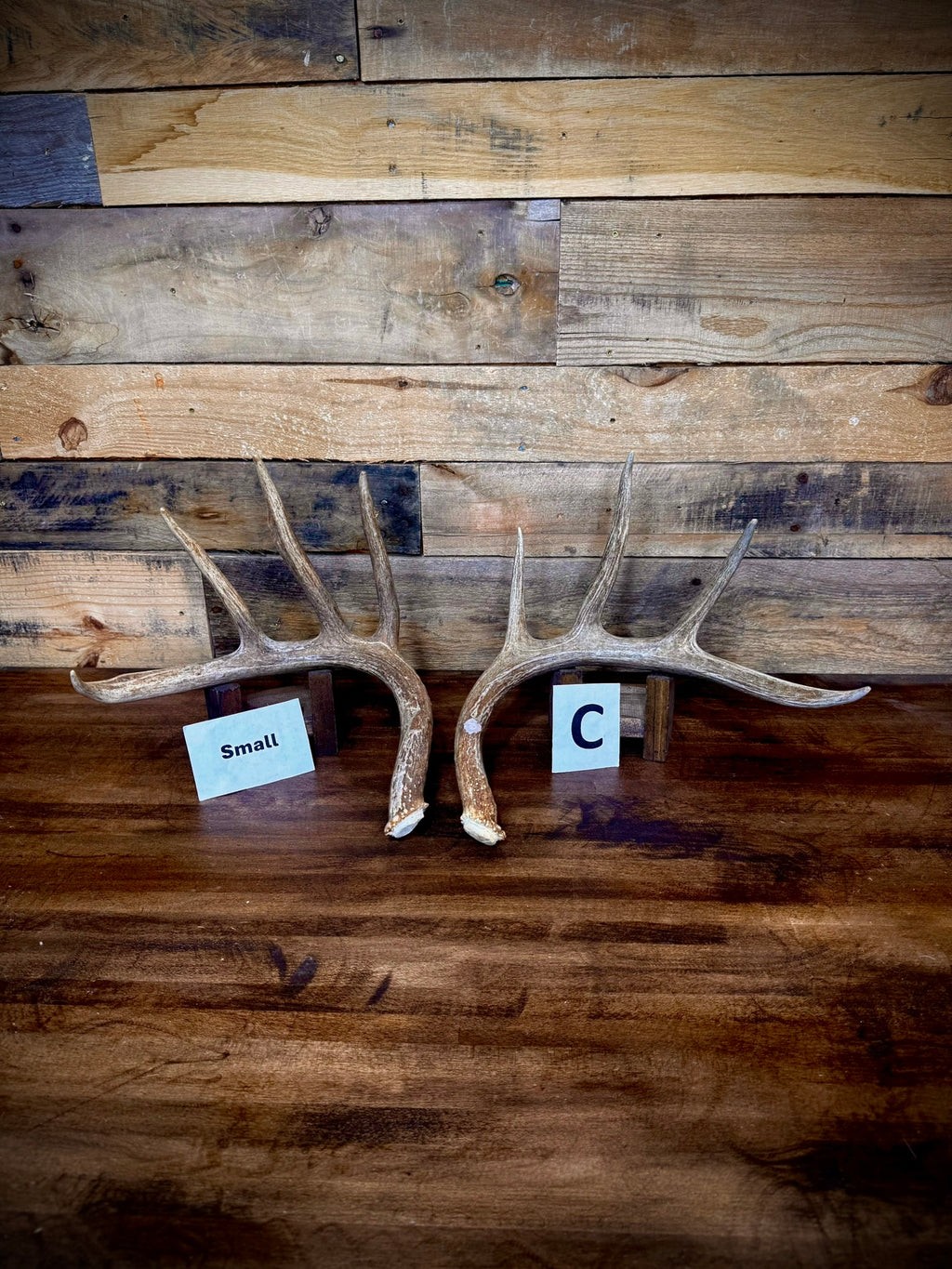 Rattling Antlers Collection 1 (2026) - Size SMALL - Choose Piece
