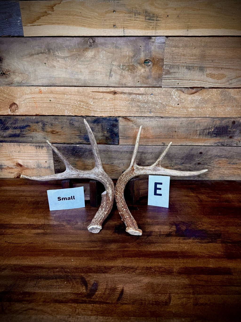 Rattling Antlers Collection 1 (2026) - Size SMALL - Choose Piece