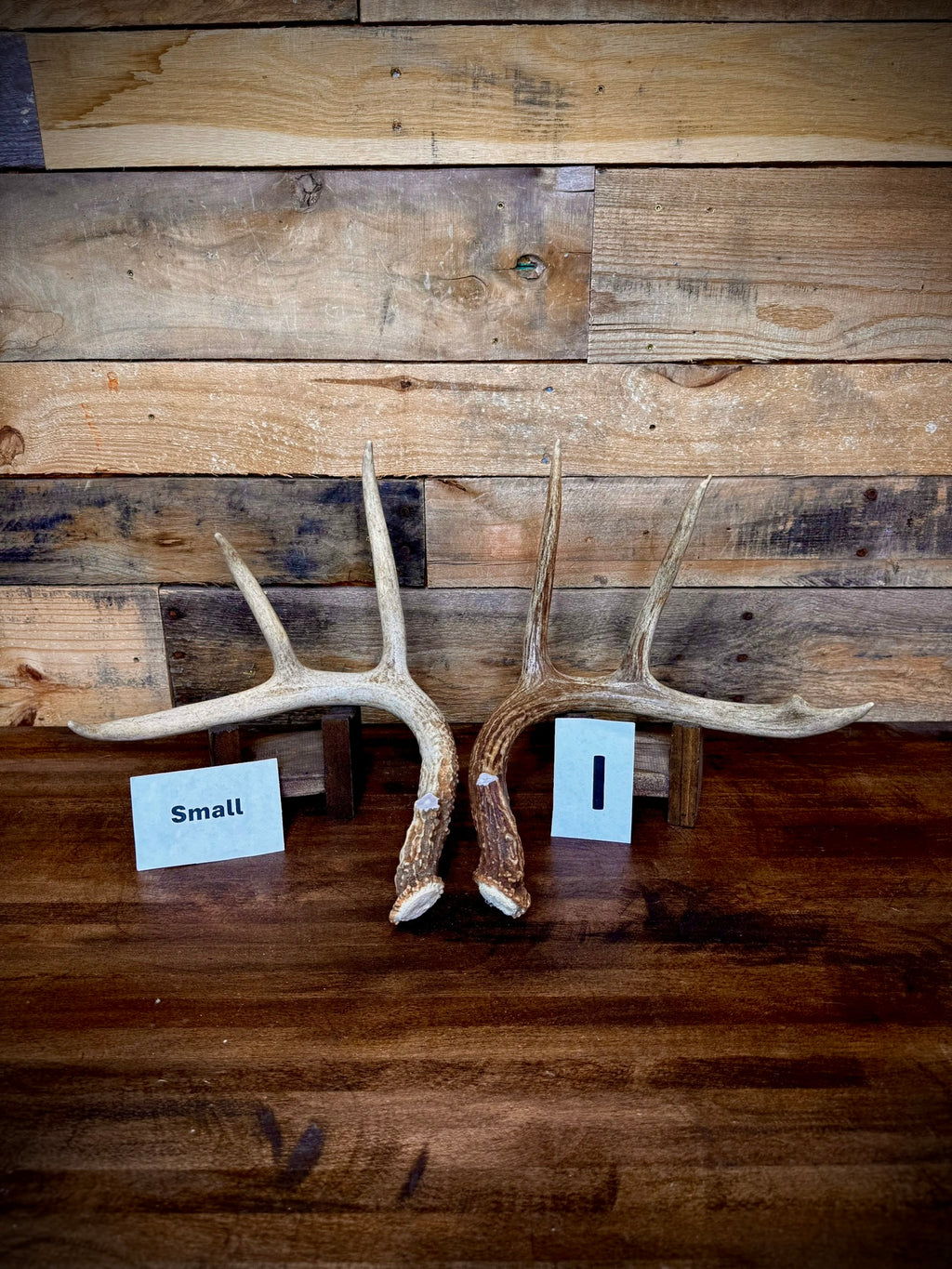 Rattling Antlers Collection 1 (2026) - Size SMALL - Choose Piece