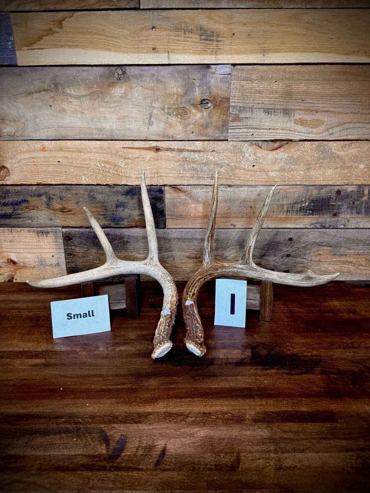 Rattling Antlers Collection 1 (2026) - Size SMALL - Choose Piece
