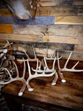 Rattling Antlers Collection 1 (2026) – Size MEDIUM - Choose Piece