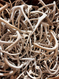 B Grade WHITETAIL Deer Antler Sheds - Light Brown/White Color - 5 or 10 Pounds