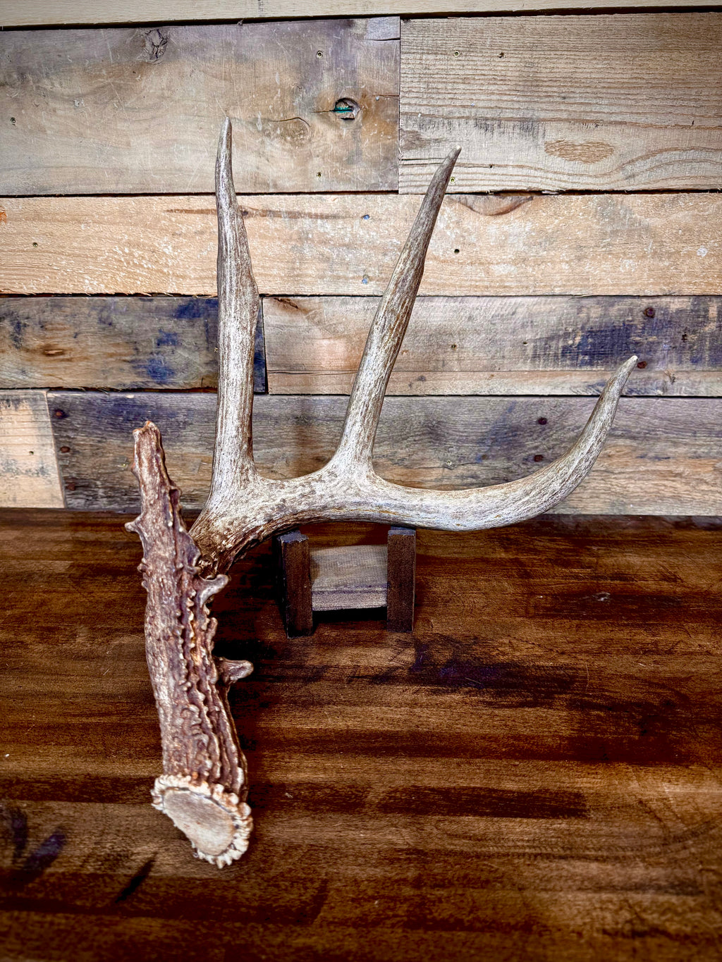 66" Brown 4-Point Main Frame Shed (Left Side)