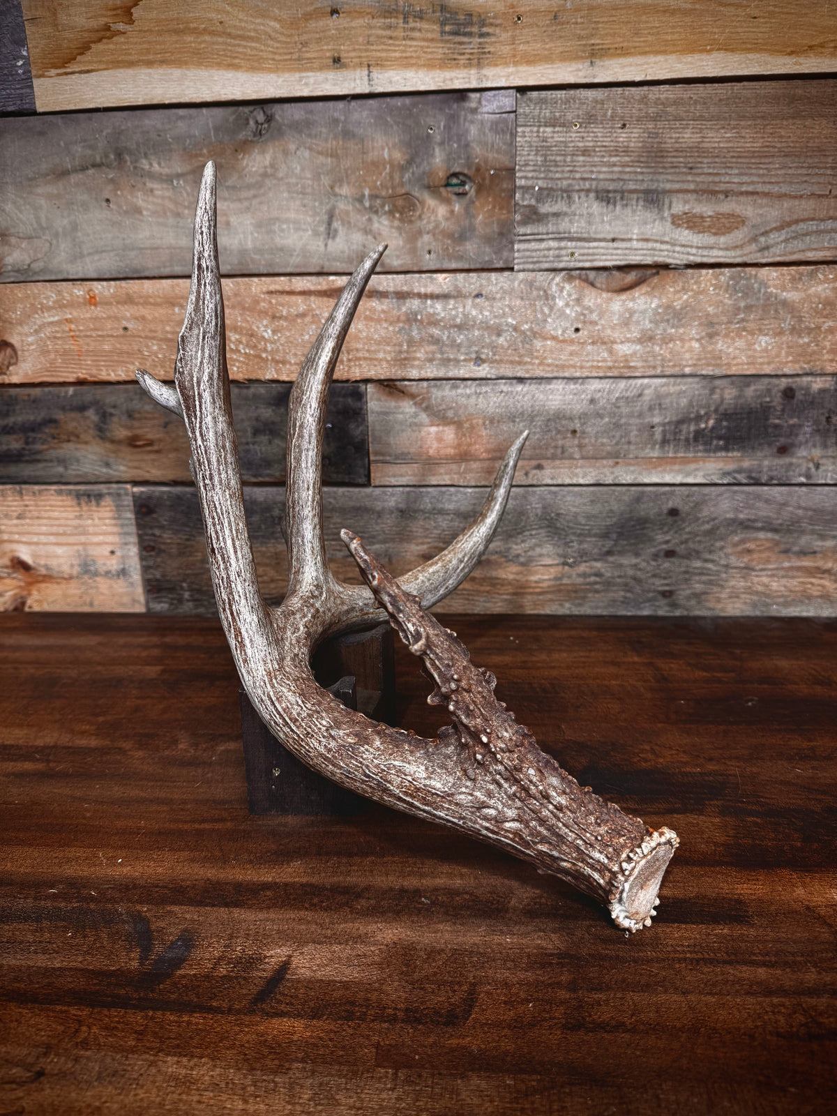 66" Brown 4-Point Main Frame Shed (Left Side)