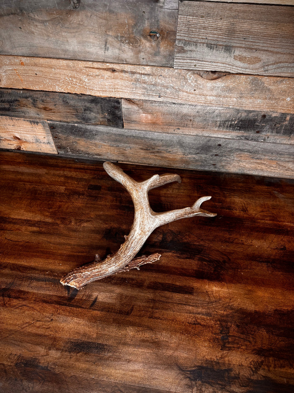 66" Brown 4-Point Main Frame Shed (Left Side)