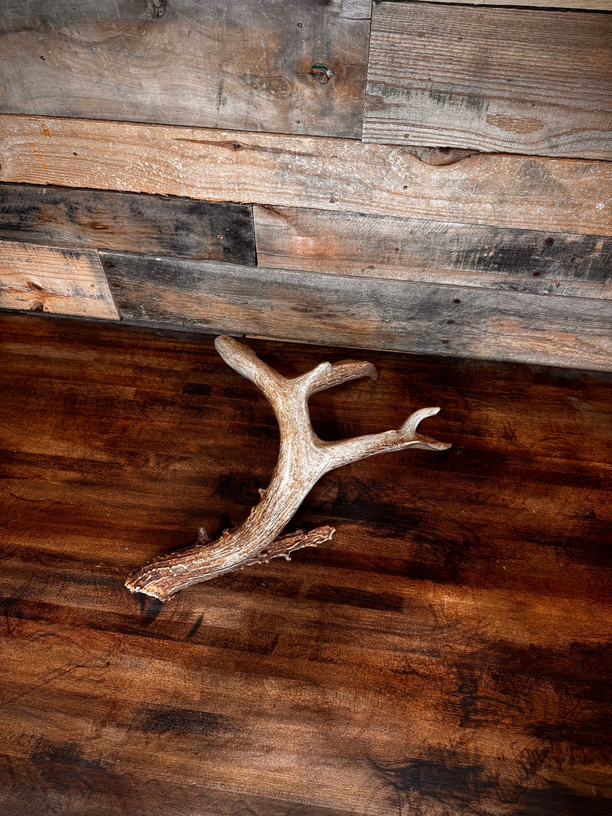 66" Brown 4-Point Main Frame Shed (Left Side)