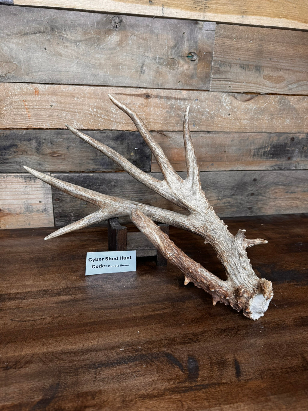 Laser Etched Pint Glass - The Antler Store Logo, Ships Free