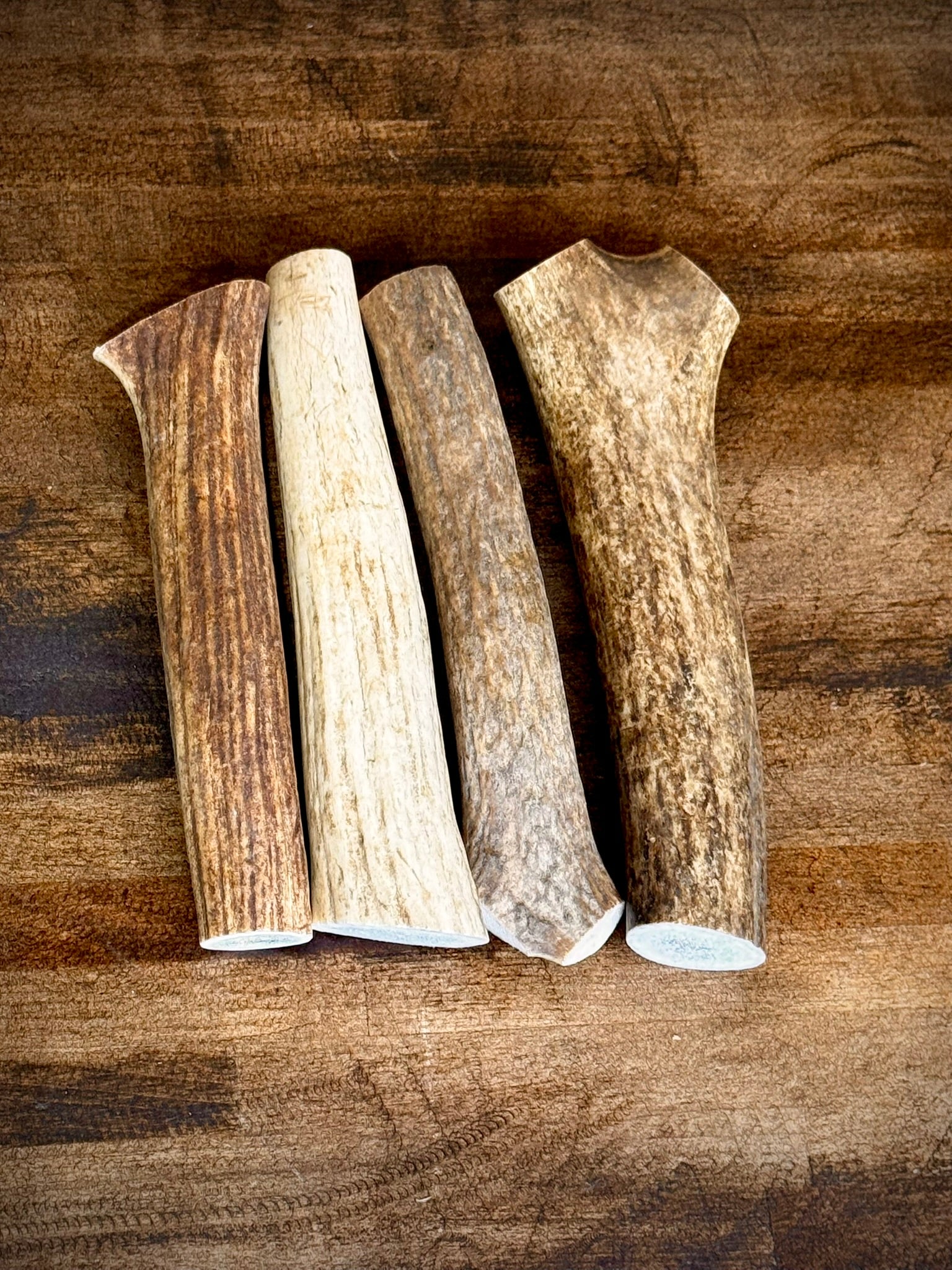 Elk Antler Dog Chew Treats - 1 Pound Groups, Free Shipping