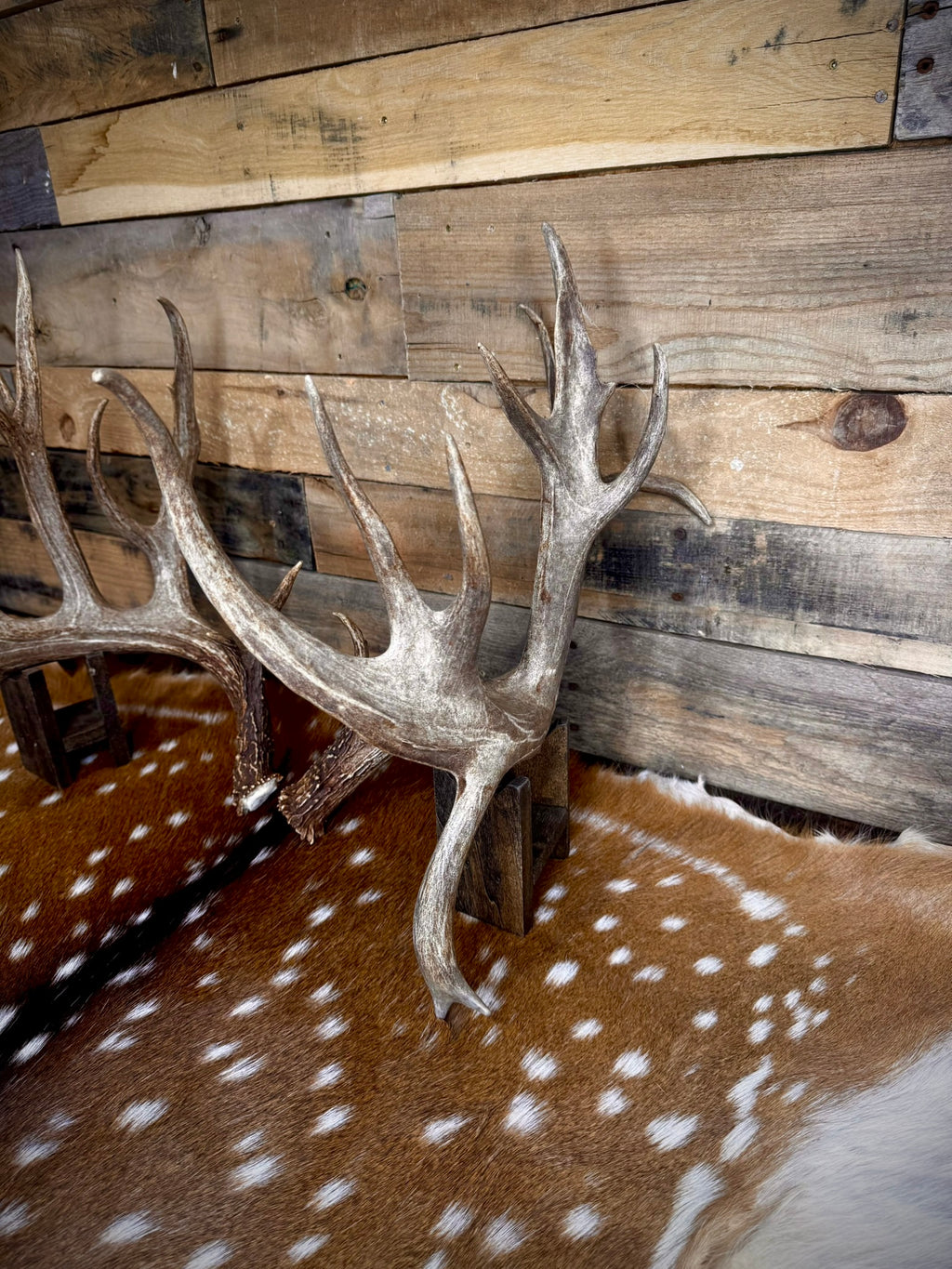 213" Giant Matching Pair of Whitetail Sheds | Non-Typical | Drop Tine
