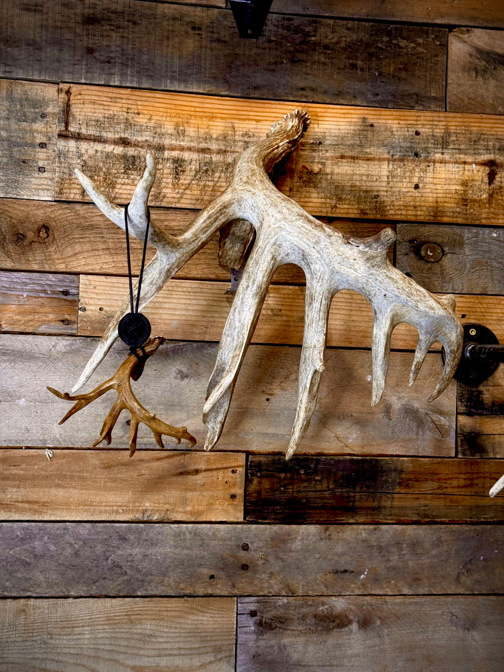 The Mini Monster Rear View Mirror Dangler, Now Available!