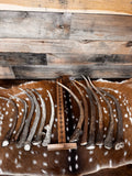 Elk Spike Antlers | 14-16" & 18-20" | Seasonal Collection | Door Handles/Pulls