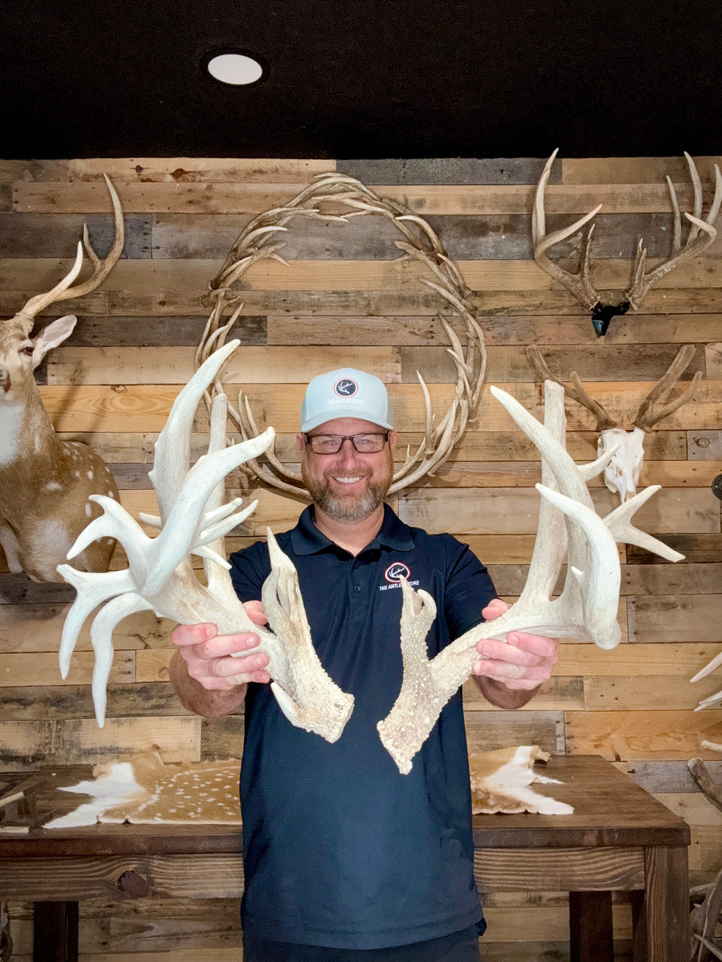 219" Massive Pair of Trophy Whitetail Antlers | 24 Points | Multiple Droptines | 40" Mass