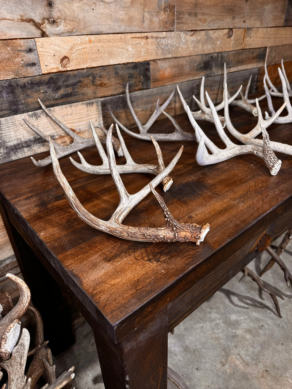 Table Top Antler Decor Packages -12 or 24 Small/Medium Whitetail Antlers