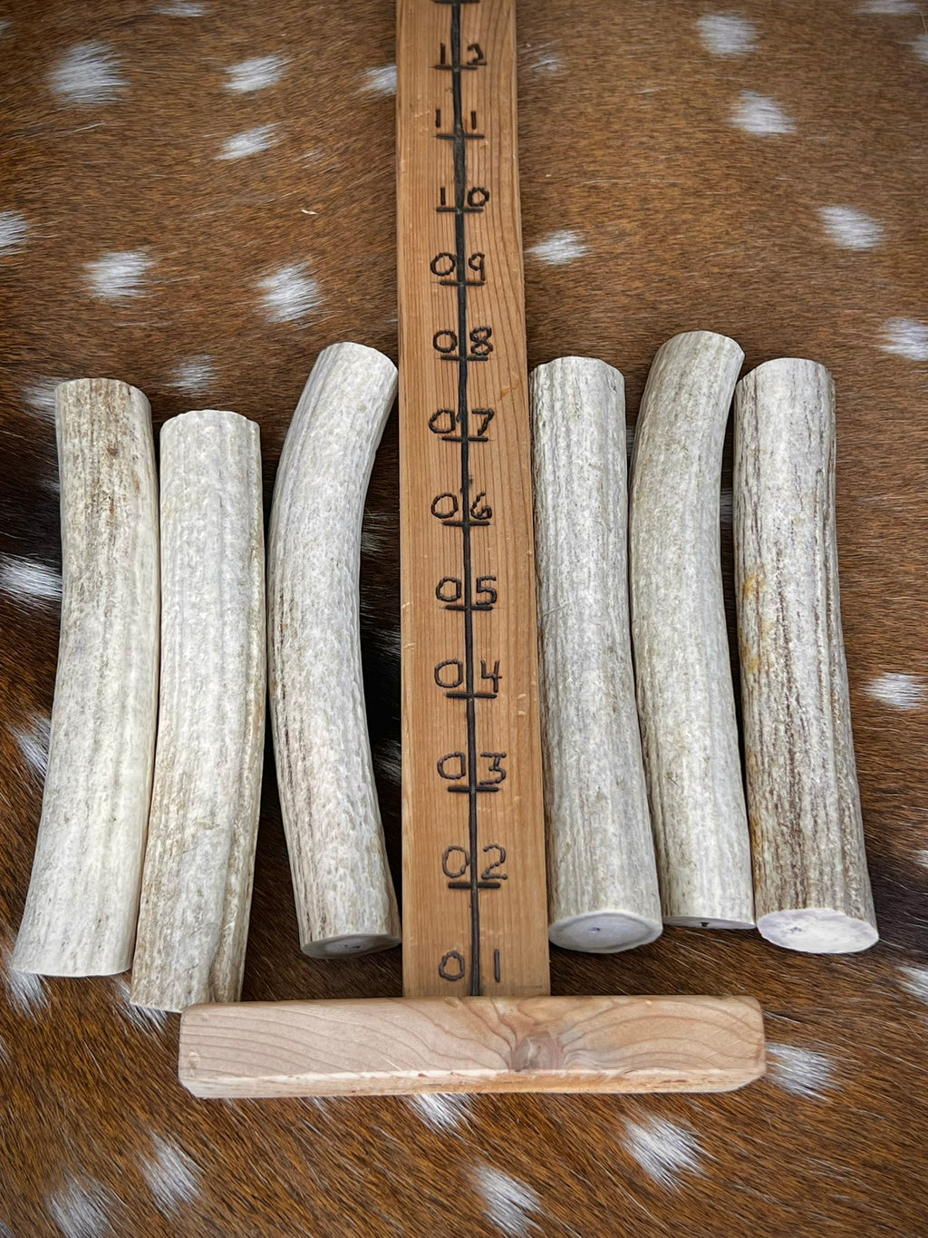 Deer Antler Knife Handle or Pen-Turning Blank, No Burr (Slab) - Choose Size and Color