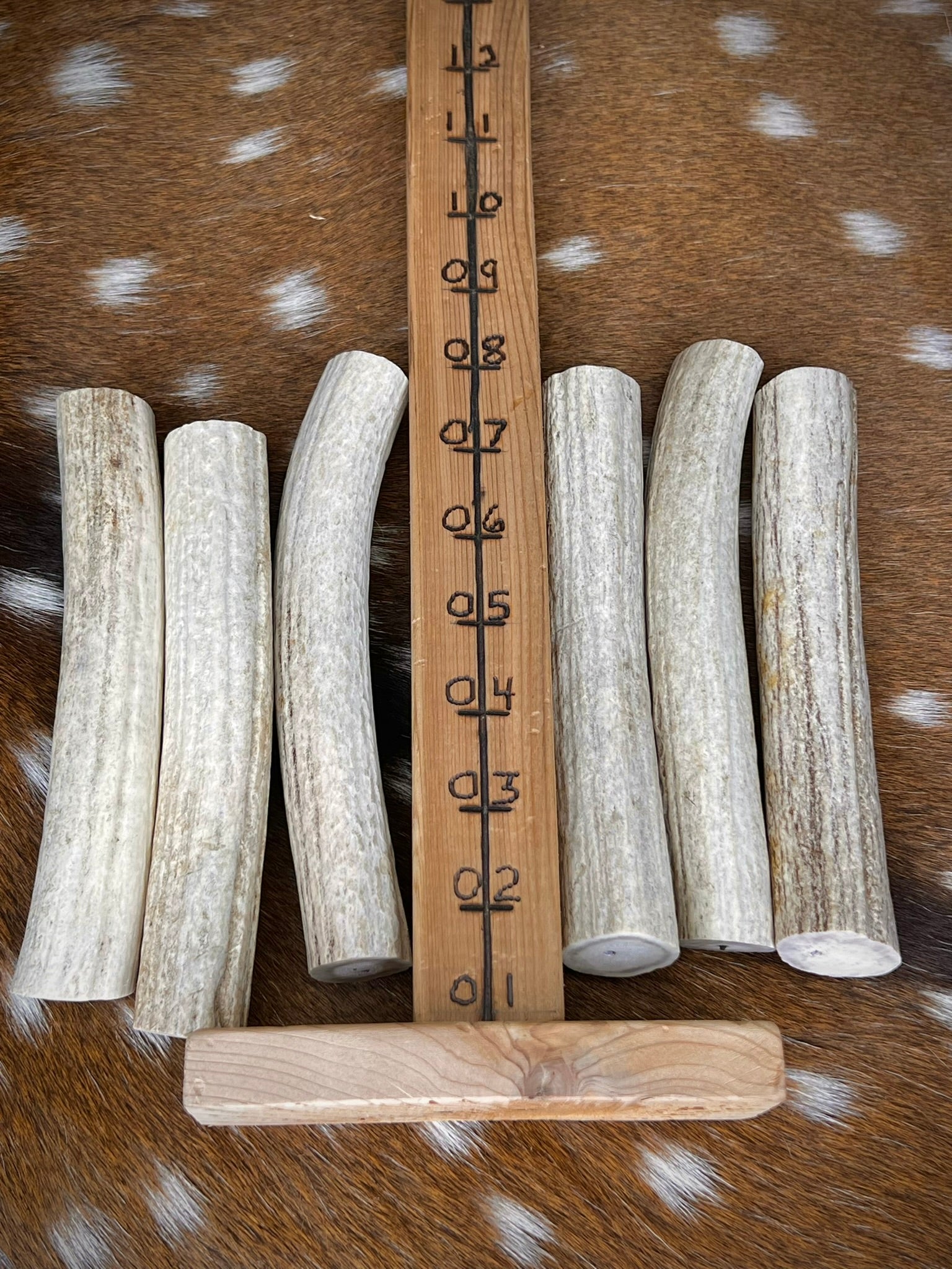 Deer Antler Knife Handle or Pen-Turning Blank, No Burr (Slab) - Choose Size and Color