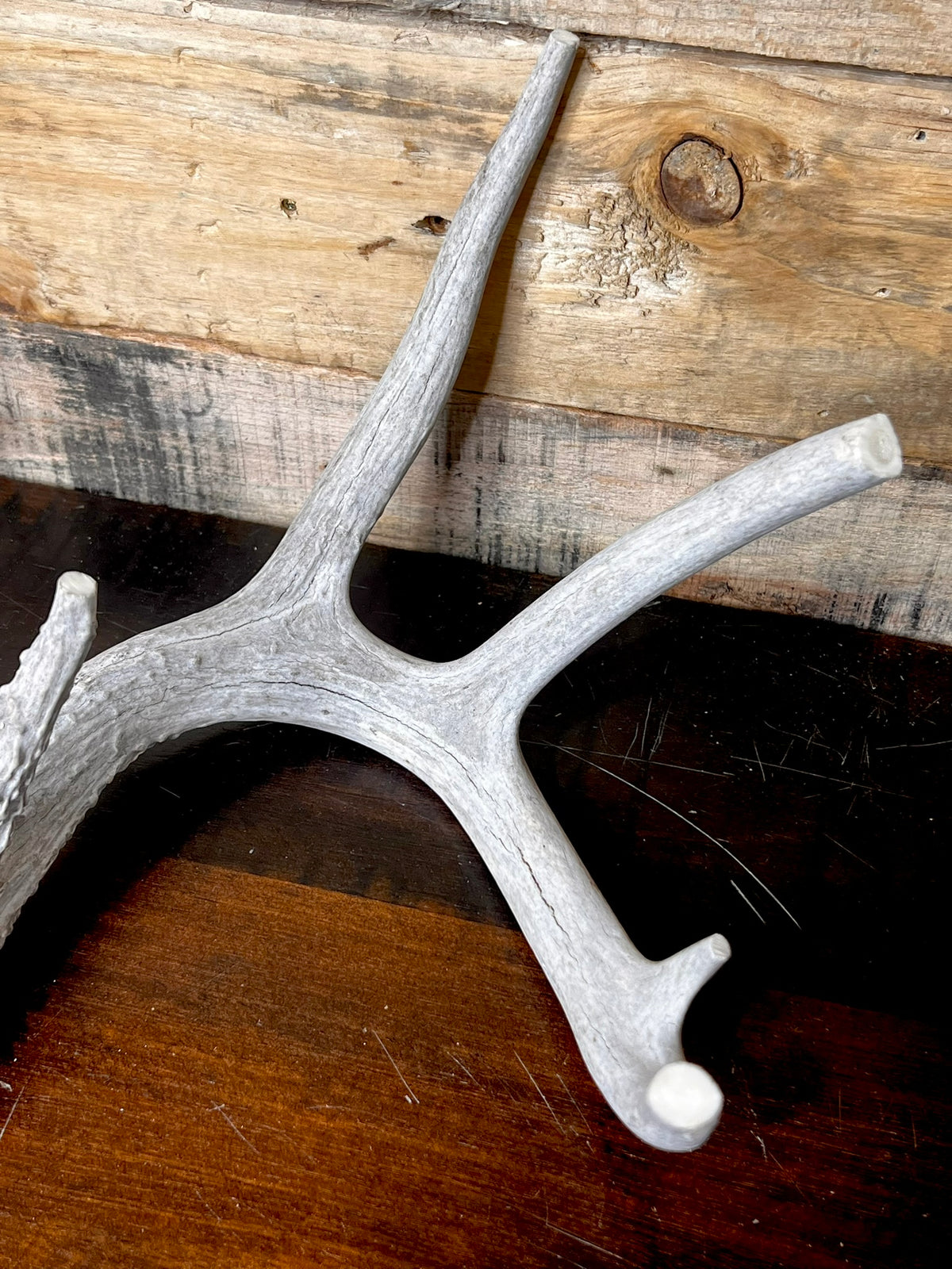 Whole Antler Dog Chews - B & C Grade | By the Pound