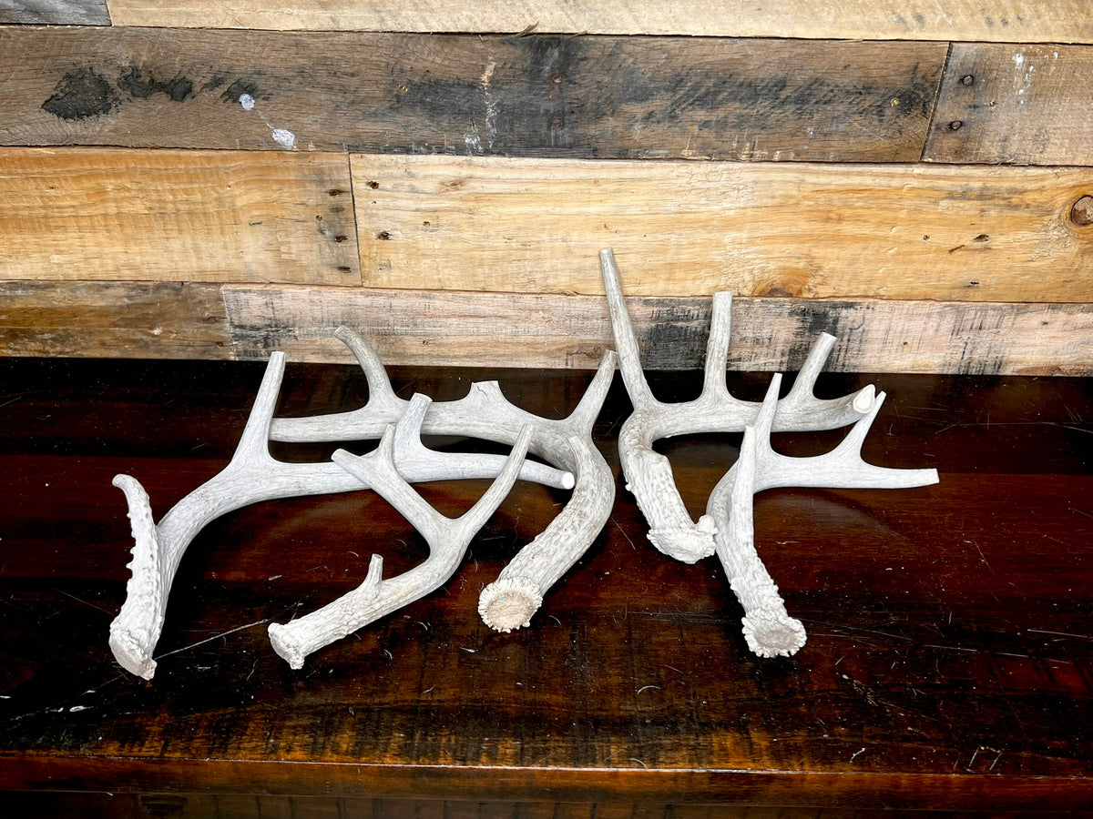 Whole Antler Dog Chews - B & C Grade | By the Pound