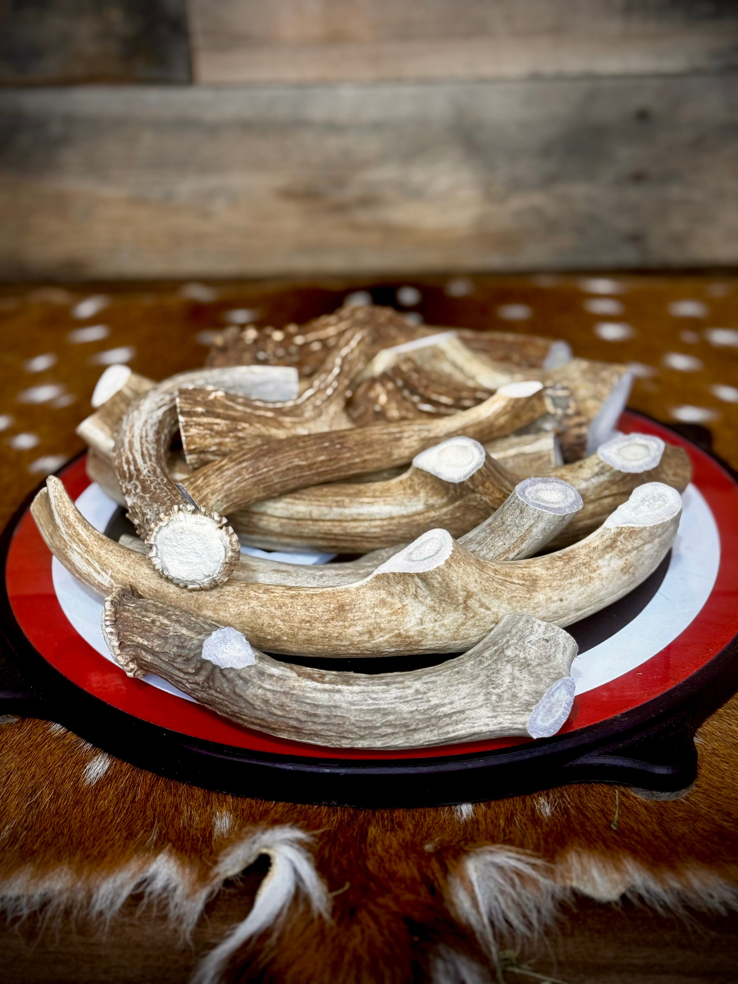 Whitetail Antler Dog Chew Treats - 1 Pound Groups - Free Ship